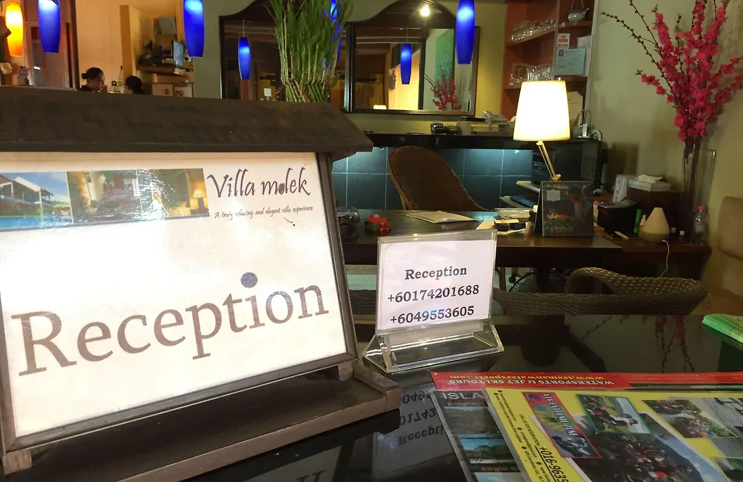 Villa Molek-1